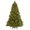 Christmas Central 7.5’ Pre-Lit Full Downswept Douglas Fir Artificial Christmas Tree, White Lights -Ornaments Store dnat pedd1 312 75 1 62903.1631812952
