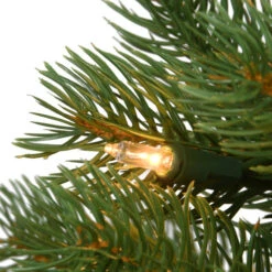 Christmas Central 6.5' Pre-Lit Downswept Douglas Fir Artificial Christmas Tree, Clear Lights -Ornaments Store dnat pedd1 323 65 2 26824.1631812349