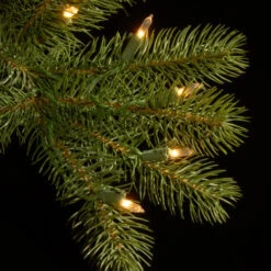 12 Ft. Downswept Douglas(R) Fir Tree With Clear Lights 8 12 Ft. Downswept Douglas(R) Fir Tree With Clear Lights -Ornaments Store dnat pedd1 372 120 3 41169.1631812663