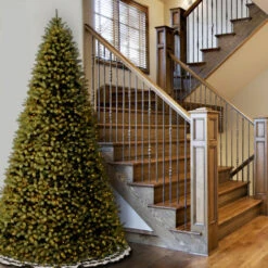 12 Ft. Downswept Douglas(R) Fir Tree With Clear Lights 9 12 Ft. Downswept Douglas(R) Fir Tree With Clear Lights -Ornaments Store dnat pedd1 372 120 4 76534.1631812663
