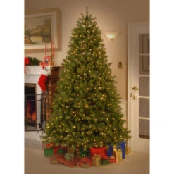 Christmas Central 6’ Pre-Lit Downswept Douglas Fir Artificial Christmas Tree, Clear Lights -Ornaments Store dnat pedd3 312 60 4 02308.1670490065