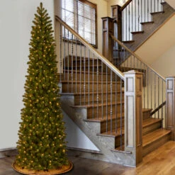 12’ Pre-Lit Downswept Douglas Slim Fir Artificial Christmas Tree - Clear Lights 9 12’ Pre-Lit Downswept Douglas Slim Fir Artificial Christmas Tree - Clear Lights -Ornaments Store dnat pedd4 392 120 4 94639.1631812672