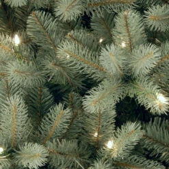 Christmas Central 4.5’ Pre-Lit Downswept Douglas Blue Fir Christmas Tree, Clear Lights 6 Christmas Central 4.5’ Pre-Lit Downswept Douglas Blue Fir Christmas Tree, Clear Lights -Ornaments Store dnat peddb1 312 45 2 23600.1631812637