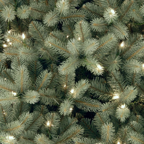 Christmas Central 7.5’ Pre-Lit Downswept Douglas Blue Fir Artificial Christmas Tree – Clear Lights 4 Christmas Central 7.5’ Pre-Lit Downswept Douglas Blue Fir Artificial Christmas Tree – Clear Lights - Image 2