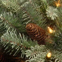 Christmas Central 7.5' Frosted Arctic Spruce Artificial Christmas Tree, Clear Lights 8 Christmas Central 7.5' Frosted Arctic Spruce Artificial Christmas Tree, Clear Lights -Ornaments Store dnat pefa1 307 75 3 24716.1664121080