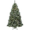 6.5’ Pre-Lit Finley Pine Artificial Christmas Tree - Clear Lights -Ornaments Store dnat pefi38 307 65 12871.1587645165
