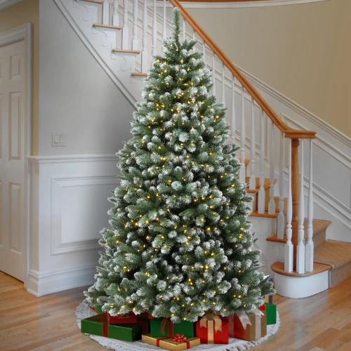 7.5’ Pre-Lit Finley Pine Artificial Christmas Tree - Clear Lights 4 7.5’ Pre-Lit Finley Pine Artificial Christmas Tree - Clear Lights - Image 2