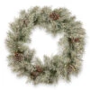 Christmas Central 30" Pre-Lit Frosted Mountain Spruce Artificial Christmas Wreath, Battery Operated Clear Lights 1 Christmas Central 30" Pre-Lit Frosted Mountain Spruce Artificial Christmas Wreath, Battery Operated Clear Lights -Ornaments Store dnat pefm3 300 30wb1 1 50817.1631810857