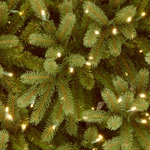 Christmas Central 7.5’ Pre-Lit Jersey Fraser Fir Artificial Christmas Tree, Clear Lights 5 Christmas Central 7.5’ Pre-Lit Jersey Fraser Fir Artificial Christmas Tree, Clear Lights - Image 3
