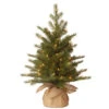 Christmas Central 2' Pre-Lit Potted Nordic Spruce Full Artificial Christmas Tree, White Lights -Ornaments Store dnat pens1 333 20 1 1 67750.1587645144
