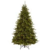 Christmas Central 7.5’ Pre-Lit Neshanic Valley Spruce Artificial Christmas Tree, Multicolor LED Lights -Ornaments Store dnat penv3 d00 75 1 98181.1587645159