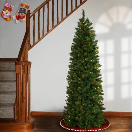 Christmas Central 6.5’ Pre-Lit Pennington Fir Pencil Artificial Christmas Tree, Clear Lights 4 Christmas Central 6.5’ Pre-Lit Pennington Fir Pencil Artificial Christmas Tree, Clear Lights - Image 2