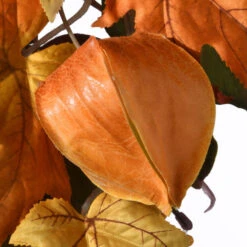 Christmas Central 6' Fall Harvest Sunflower And Pine Cones Artificial Garland – Unlit -Ornaments Store dnat rahv hyx0260a 3 57144.1664379974