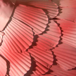 32" Pink Flamingo Garden Patio Accents 8 32" Pink Flamingo Garden Patio Accents -Ornaments Store dnat ras xf3615104 1 3 79253.1631810864