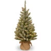 Christmas Central 3' Pre-lit Medium Snowy Concolor Fir Artificial Christmas Tree, White LED Lights -Ornaments Store dnat sr1 328 30 b1 1 67495.1665174306