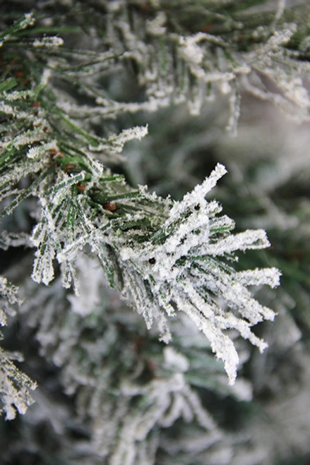 7' Unlit Slim Frosted And Glittered Woodland Alpine Artificial Christmas Tree 5 7' Unlit Slim Frosted And Glittered Woodland Alpine Artificial Christmas Tree - Image 3