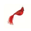 5.63" Red Cardinal Bird With Feather Tail Hand Blown Glass Hanging Figurine Ornament -Ornaments Store gold cobanec304 11075.1588371247