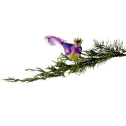 8" Purple Glass Bird With Crown Clip-On Christmas Ornament 6 8" Purple Glass Bird With Crown Clip-On Christmas Ornament -Ornaments Store hrt1clky4cyzckrucwppiikadt4rplm9 44955.1598662536