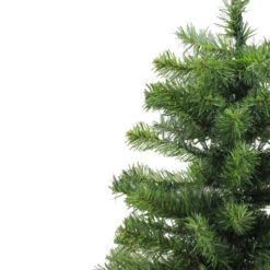 Northlight 2' Medium Canadian Pine Artificial Christmas Tree - Unlit -Ornaments Store j4dqfq8mnros6hr5k49xrbsc8kh2a3yo 75038.1665433001