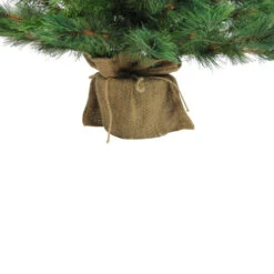 Northlight 3' Potted New Carolina Spruce Medium Artificial Christmas Tree - Unlit -Ornaments Store jgpo41pjmuyq7fyavzmwkjboouyif6kn 56164.1665610423