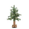 Northlight 2' Pre-Lit Medium Woodland Alpine Artificial Christmas Tree - Clear Lights -Ornaments Store kc4kjzepvqopn8qhrqk3dvclochwgawm 34880.1588349657