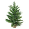 Northlight 2' Potted Mixed Cashmere Pine Medium Artificial Christmas Tree, Unlit -Ornaments Store kdishopfktf1gep6vvndqjuwathvudb8 99141.1665433297