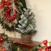 2' Potted Flocked Pine Artificial Christmas Tree Slim With Wicker Base - Unlit - 31461957 -Ornaments Store ladwy4g6nqi7okxyasrdqmrep6powffo 38237.1588397775