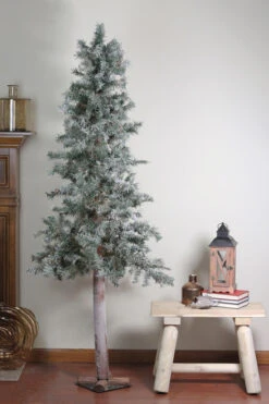 7' Unlit Slim Frosted And Glittered Woodland Alpine Artificial Christmas Tree 11 7' Unlit Slim Frosted And Glittered Woodland Alpine Artificial Christmas Tree -Ornaments Store m3jdt5navefpamgqla6dyppfcjsuau6o 23308.1588349969