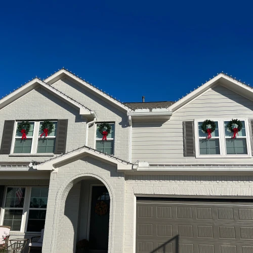 Northlight Canadian Pine Artificial Christmas Wreath, 24-Inch, Unlit 6 Northlight Canadian Pine Artificial Christmas Wreath, 24-Inch, Unlit - Image 4