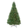Northlight 9.5' Pre-Lit Full Buffalo Fir Artificial Christmas Tree - Clear Lights -Ornaments Store northlight20z99610 updated 85716.1665696782
