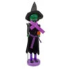 Northlight 14" Black And Green Witch Jack-O-Lantern Halloween Nutcracker With Broom 2 Northlight 14" Black And Green Witch Jack-O-Lantern Halloween Nutcracker With Broom -Ornaments Store northlight 97162updated 10782.1665610739