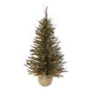 Northlight 2.5' Pre-Lit Warsaw Two-Tone Twig Artificial Christmas Tree - Clear Lights 2 Northlight 2.5' Pre-Lit Warsaw Two-Tone Twig Artificial Christmas Tree - Clear Lights -Ornaments Store northlight b03911 32189.1605321220