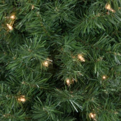 Northlight 6' X 20" Pre-Lit Traditional Green Pine Pencil Artificial Christmas Tree - Clear Lights -Ornaments Store northlight b83517 2 63954.1674034541