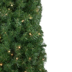 Northlight 6' X 20" Pre-Lit Traditional Green Pine Pencil Artificial Christmas Tree - Clear Lights -Ornaments Store northlight b83517 3 08151.1674034542