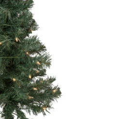 Northlight 3' Pre-Lit Green Medium Blackwater Fir Artificial Christmas Tree - Clear Lights -Ornaments Store northlight b83526 2 06989.1666129159