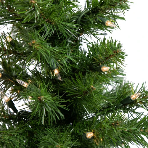 Northlight 18" Pre-Lit Medium Blackwater Fir Artificial Christmas Tree, Clear Lights 6 Northlight 18" Pre-Lit Medium Blackwater Fir Artificial Christmas Tree, Clear Lights - Image 4