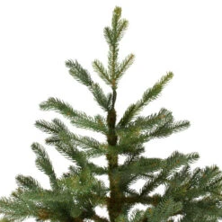 Northlight 6.5' North Pine Artificial Christmas Tree, Unlit -Ornaments Store northlight c584780 3 22342.1588371225