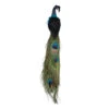 Northlight 13" Green And Dark Blue Peacock Clip-On Christmas Ornament -Ornaments Store northlight gb28253 14060.1588389068
