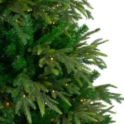 Northlight 9' Pre-Lit Full Roosevelt Fir Artificial Christmas Tree - Warm White LED Lights 11 Northlight 9' Pre-Lit Full Roosevelt Fir Artificial Christmas Tree - Warm White LED Lights -Ornaments Store northlight hb27075 2 66454.1604715582