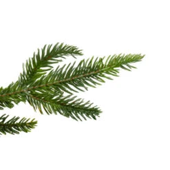 Northlight 9' X 10" Roosevelt Fir Artificial Christmas Garland - Unlit 8 Northlight 9' X 10" Roosevelt Fir Artificial Christmas Garland - Unlit -Ornaments Store northlight hb rooseveltbranch 00168.1604715283