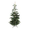 Northlight 9' Layered Nordmann Fir Artificial Christmas Tree - Unlit -Ornaments Store northlight j00083 1 22597.1588397254