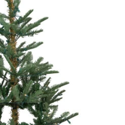 Northlight 9' Pre-Lit Nordmann Fir Artificial Christmas Tree - Warm Clear LED Lights -Ornaments Store northlight j00085 3 80272.1636546337