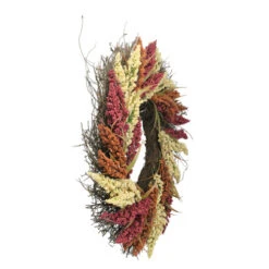 Northlight Autumn Harvest Mixed Heather Artificial Grapevine Wreath, 22 Inch Unlit 9 Northlight Autumn Harvest Mixed Heather Artificial Grapevine Wreath, 22 Inch Unlit -Ornaments Store northlight kji15971 1updated 16769.1636719539