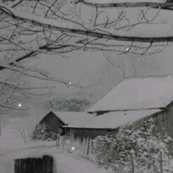 Northlight Fiber Optic Lighted Snowfall Country Rustic Farmhouse Christmas Canvas Wall Art 11.75" X 15.75" -Ornaments Store northlight nj85686 3 28533.1588350646