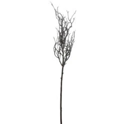 Northlight 43" Brown And White Frosted Artificial Christmas Poplar Tree Branch 6 Northlight 43" Brown And White Frosted Artificial Christmas Poplar Tree Branch -Ornaments Store northlight nl00084 2 24646.1601948623