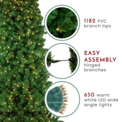 Northlight 7.5' Pre-Lit Slim Olympia Pine Artificial Christmas Tree - Warm White Lights -Ornaments Store northlight nl03216 thumbnail 2 06262.1665611927