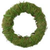 Northlight Moss And Vine Artificial Spring Twig Wreath, 15-Inch, Unlit -Ornaments Store northlight sh72876 updated2022 37306.1665610741