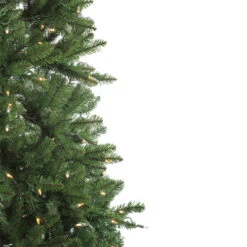 Northlight 6.5' Pre-Lit Medium Neola Fraser Fir Artificial Christmas Tree - Dual LED Lights 10 Northlight 6.5' Pre-Lit Medium Neola Fraser Fir Artificial Christmas Tree - Dual LED Lights -Ornaments Store northlight sp15020 2updated 66756.1588362260