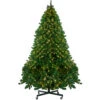Northlight 12' Pre-Lit Full Olympia Pine Artificial Christmas Tree - Warm White Lights -Ornaments Store northlight th28353 same20as20th28355 61282.1589798178