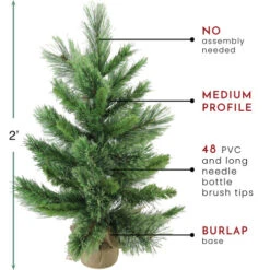 Northlight 2' Potted Mixed Cashmere Pine Medium Artificial Christmas Tree, Unlit -Ornaments Store northlight v03956 thumbnail 77437.1665433297
